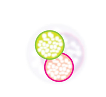 step